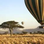 Flydubai Tanzania Office