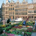 (ANA) All Nippon Airways Brussels Office in Belgium