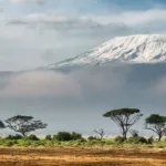 Air Mauritius Kenya Office