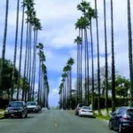 JSX Burbank Office in California