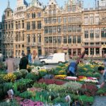 AJet Airlines Brussels Office in Belgium