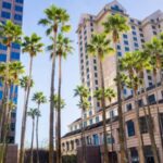 Pal Airlines San Jose Office Address