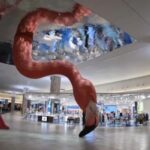 Tampa International Airport
