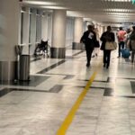 Norse Atlantic Airways ADD Terminal