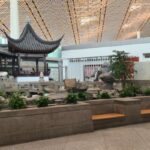 Qatar Airways PEK Terminal