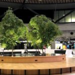 Hawaiian Airlines LYS Terminal