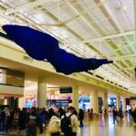 Hawaiian Airlines MDW Terminal