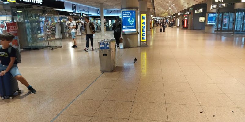 Royal Jordanian Hamburg Airport – HAM Terminal