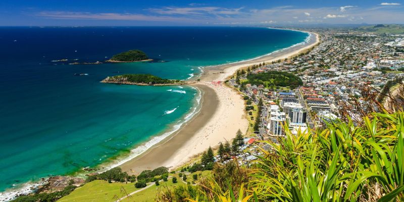Air New Zealand Tauranga Office Address